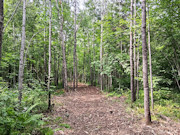 10 Acres Near Minong, WI - Wooded Land Surrounded by Recreation