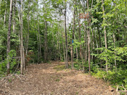 10 Acres Near Danbury, WI - Buildable Land Near the St. Croix & Minong Flowages