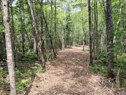 10 Acres Near Danbury, WI - Buildable Land Near the St. Croix & Minong Flowages