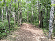 10 Acres Near Danbury, WI - Buildable Land Near the St. Croix & Minong Flowages 10 Acres Near Danbury, WI - Buildable Land Near the St. Croix & Minong Flowages