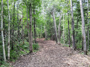 10 Acres Near Danbury, WI - Buildable Land Near the St. Croix & Minong Flowages 10 Acres Near Danbury, WI - Buildable Land Near the St. Croix & Minong Flowages