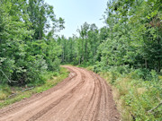 10 Acres Near Danbury, WI - Buildable Land Near the St. Croix & Minong Flowages 10 Acres Near Danbury, WI - Buildable Land Near the St. Croix & Minong Flowages