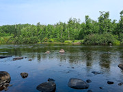 10 Acres Near Danbury, WI - Buildable Land Near the St. Croix & Minong Flowages 10 Acres Near Danbury, WI - Buildable Land Near the St. Croix & Minong Flowages