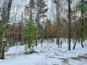 2+ Acres Wooded Land Eagle River, WI: Near Lakes & Trails!