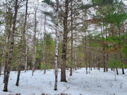 2+ Acres Wooded Land Eagle River, WI: Near Lakes & Trails!