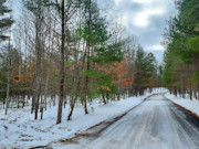 2+ Acres Wooded Land Eagle River, WI: Near Lakes & Trails!