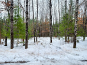 Vilas County, WI Land for Sale: 2.25 Acres Near Eagle River & St. Germain!