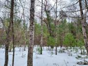 Vilas County, WI Land for Sale: 2.25 Acres Near Eagle River & St. Germain!