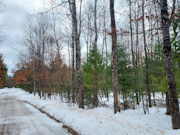Vilas County, WI Land for Sale: 2.25 Acres Near Eagle River & St. Germain!