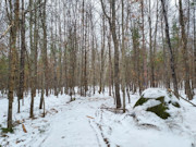 St. Germain, WI Wooded Acreage: Near Lakes & Trails!