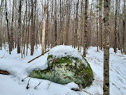 St. Germain, WI Wooded Acreage: Near Lakes & Trails!