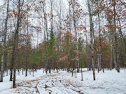 St. Germain, WI Wooded Acreage: Near Lakes & Trails!