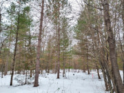 St. Germain, WI Wooded Acreage: Near Lakes & Trails!