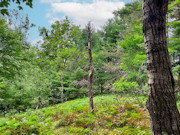 3.1 Acres of Wooded Land for Sale Near Amberg, WI