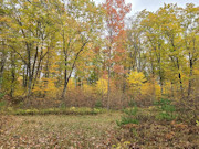 2.75 Acres of Wooded Land for Sale Near Amberg, WI