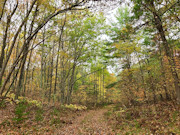 2.75 Acres of Wooded Land for Sale Near Amberg, WI