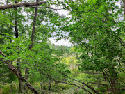 3.55 Wooded Acres for Sale Near Crivitz & Amberg, WI