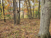 Marinette County Wooded, Hilltop Property with Breathtaking Views