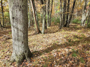 Marinette County Wooded, Hilltop Property with Breathtaking Views