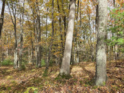 Marinette County Wooded, Hilltop Property with Breathtaking Views