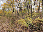 Marinette County Wooded, Hilltop Property with Breathtaking Views