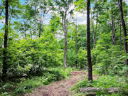 2.7 Acres Land for Sale - Forest County, WI