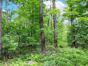 2.7 Acres Land for Sale - Forest County, WI