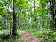 2.7 Acres Land for Sale - Forest County, WI