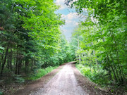 2.7 Acres Land for Sale - Forest County, WI