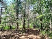 11+ Acre Wooded Retreat near Tomahawk! Hunt, Fish, Hike, Boat!