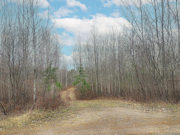 6.5 Acre Wooded Escape! Lincoln-Oneida Co. Line!