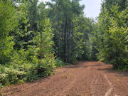 5+ Acres Near Big Chetac Lake - Ready for Your Camper