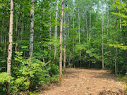 5.2 Acres Recreational Land for Sale near Couderay, WI