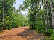 Bring your Camper! 6 Acres with Driveway near Big Chetac Lake!