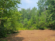 5 Acre Wooded Property For Sale Near Hayward, WI