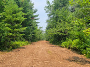 5 Acre Wooded Property For Sale Near Hayward, WI