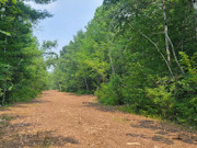 5.75 Acres Recreational Land for Sale - Sawyer County, WI