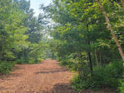 5.75 Acres Recreational Land for Sale - Sawyer County, WI