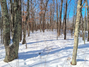 View the New Listing