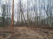 2-Acre Wooded Parcel Near the Namekagon River - Trego, WI