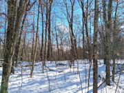 2-Acre Wooded Parcel Near the Namekagon River - Trego, WI