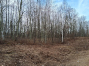2-Acre Wooded Parcel Near the Namekagon River - Trego, WI
