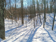 2-Acre Wooded Parcel Near the Namekagon River - Trego, WI