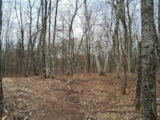 2-Acre Wooded Parcel Near the Namekagon River - Trego, WI