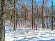2-Acre Wooded Parcel Near the Namekagon River - Trego, WI
