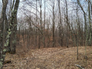 2-Acre Wooded Parcel Near the Namekagon River - Trego, WI