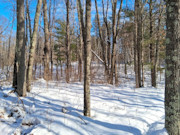2-Acre Wooded Parcel Near the Namekagon River - Trego, WI