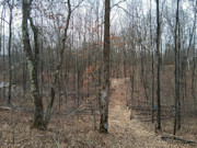 2-Acre Wooded Parcel Near the Namekagon River - Trego, WI