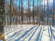 2-Acre Wooded Parcel Near the Namekagon River - Trego, WI