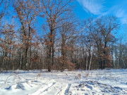 2-Acre Wooded Parcel Near the Namekagon River - Trego, WI